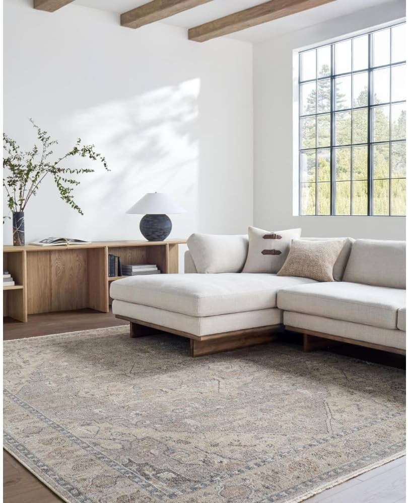 Livabliss x Galey Alix Maria Elena I Vintage Medallion Area Rug, 9'2" x 12' (9' x 12'), Taupe | Amazon (US)