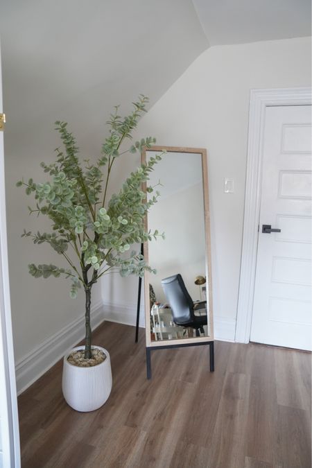 I love this corner in my home office 😍 Aestheic faux eucalyptus plant and Target mirror ✨

#LTKunder100 #LTKhome #LTKunder50