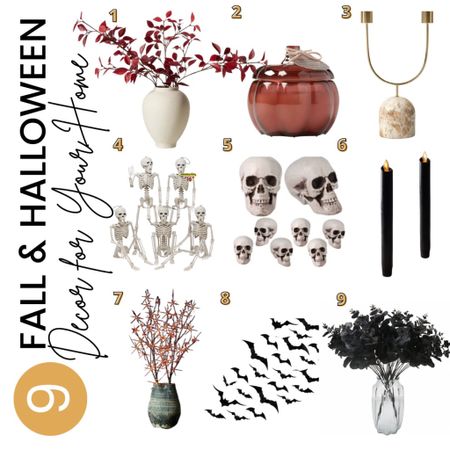 I am so excited to decorate for fall and Halloween. Here are some
Of my favorite, super affordable, decor items I’ll be busting out to usher in the new season  

#LTKHalloween #LTKSeasonal #LTKfindsunder50