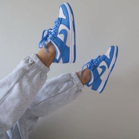 Nike low dunks 💙