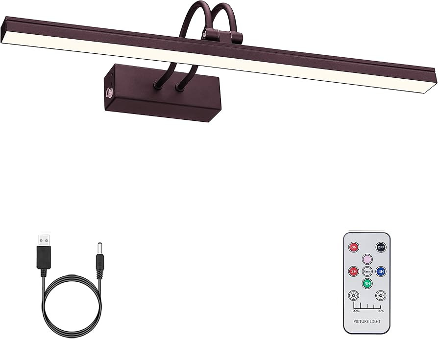 FUNCHDAY Picture Light Wireless, Rechargeable Battery Operated Painting Light with Remote, Dimmab... | Amazon (US)