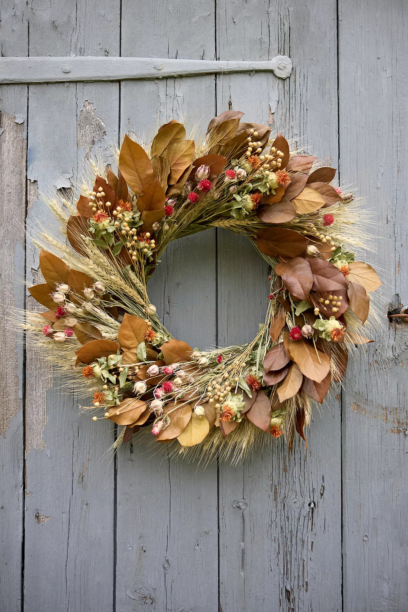 La Hora Dorada Preserved Wreath | Anthropologie (US)