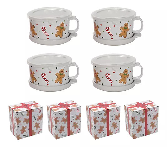 Temp-tations Set of (4) 25-oz Meal Mugs w/ Lid-its & Gift Boxes - QVC.com | QVC