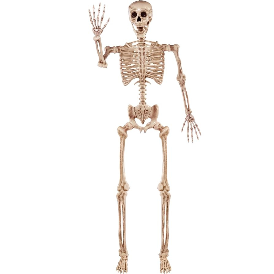 JOYIN 5.6 FT Halloween Posable Life Size Skeleton, Full Body Realistic Bones with Movable Joints,... | Amazon (US)