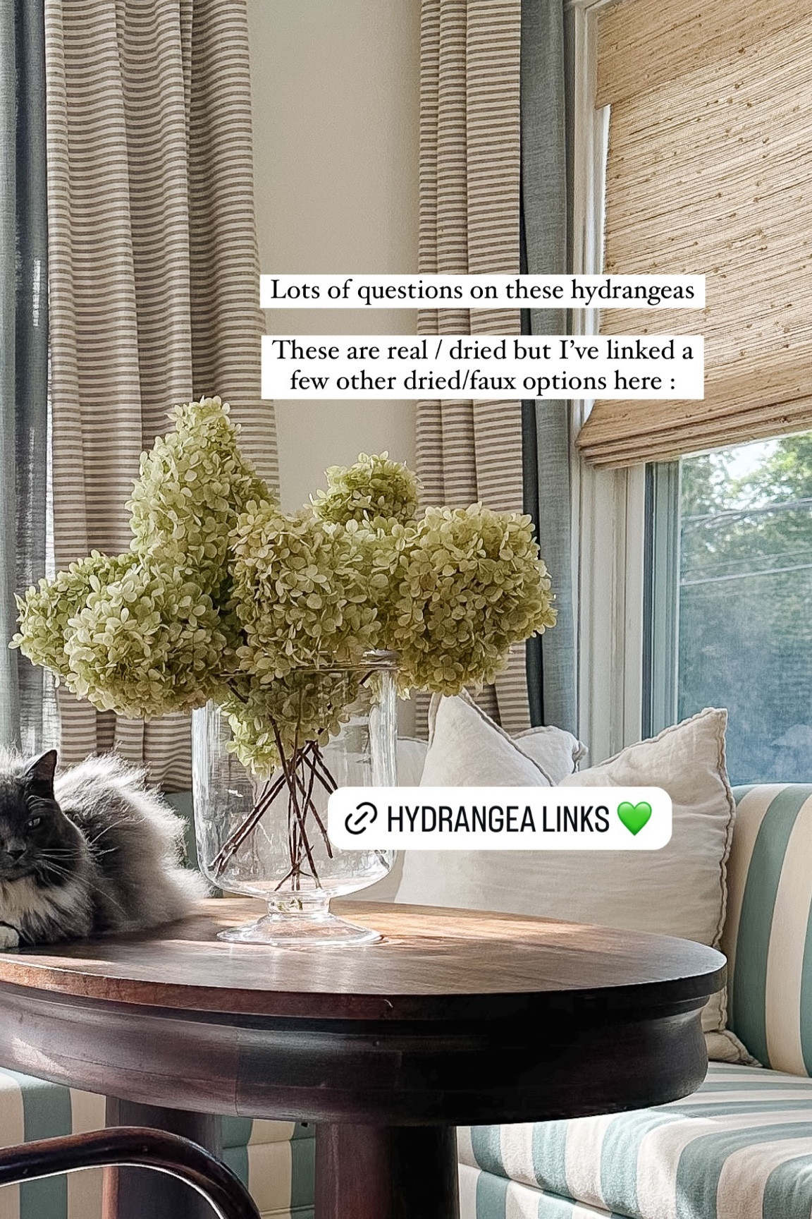 Lots of questions on these hydrangeas 

These are real / dried but I’ve linked a few other dried/faux options here :