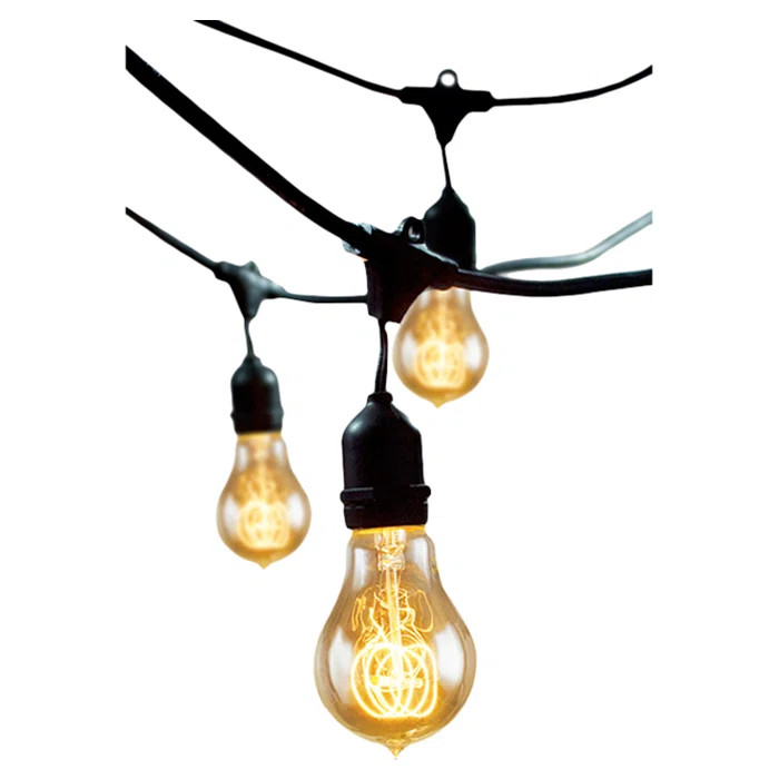 Jothan 48-ft Outdoor 15 - Bulb Standard String Light (End to End Connectable) | Wayfair North America