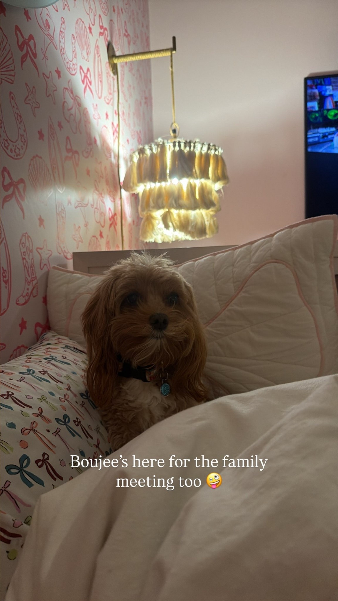 Boujee’s here for the family meeting too 🤪