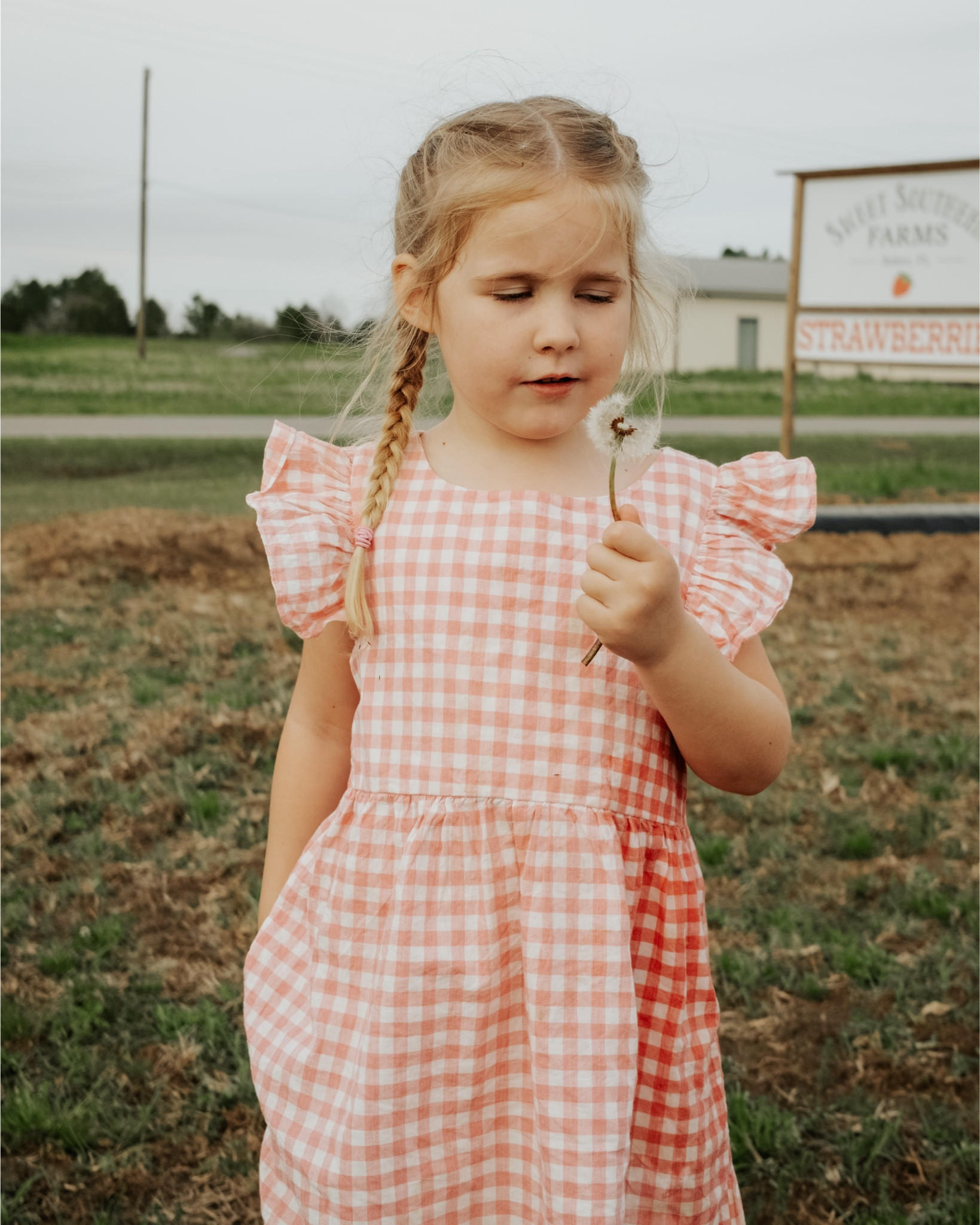 $19 pink gingham Amazon dresses! 6m-8T