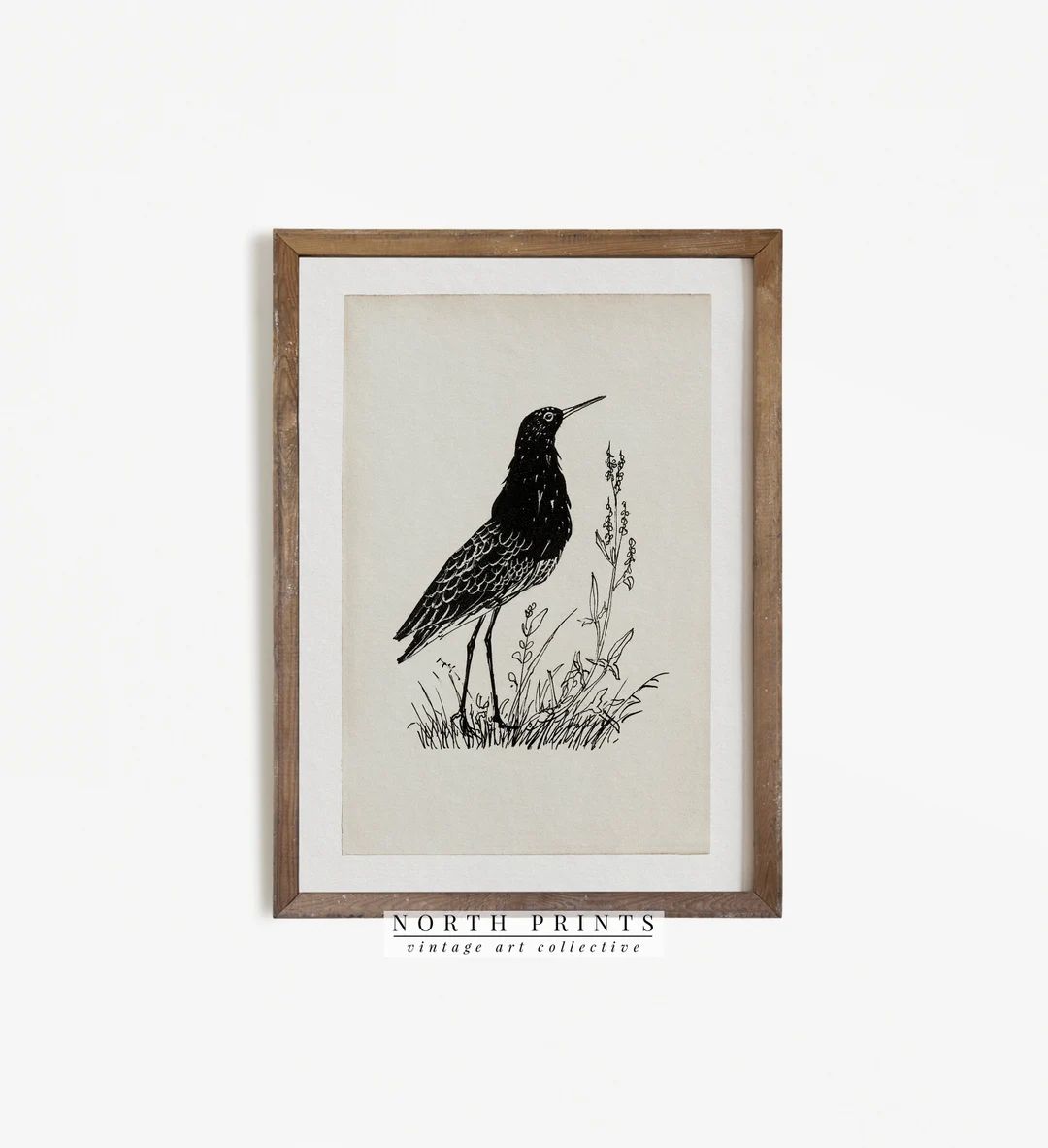 Vintage Bird Print | Antique Bird Illustration | Minimalist Sketch Digital PRINTABLE #247 | Etsy (US)