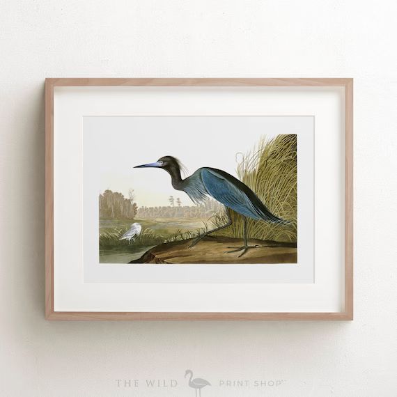 Vintage Bird Print, Blue Crane Print, Bird Wall Art, Audubon Bird Print, Bird Art, Unframed Print | Etsy (US)