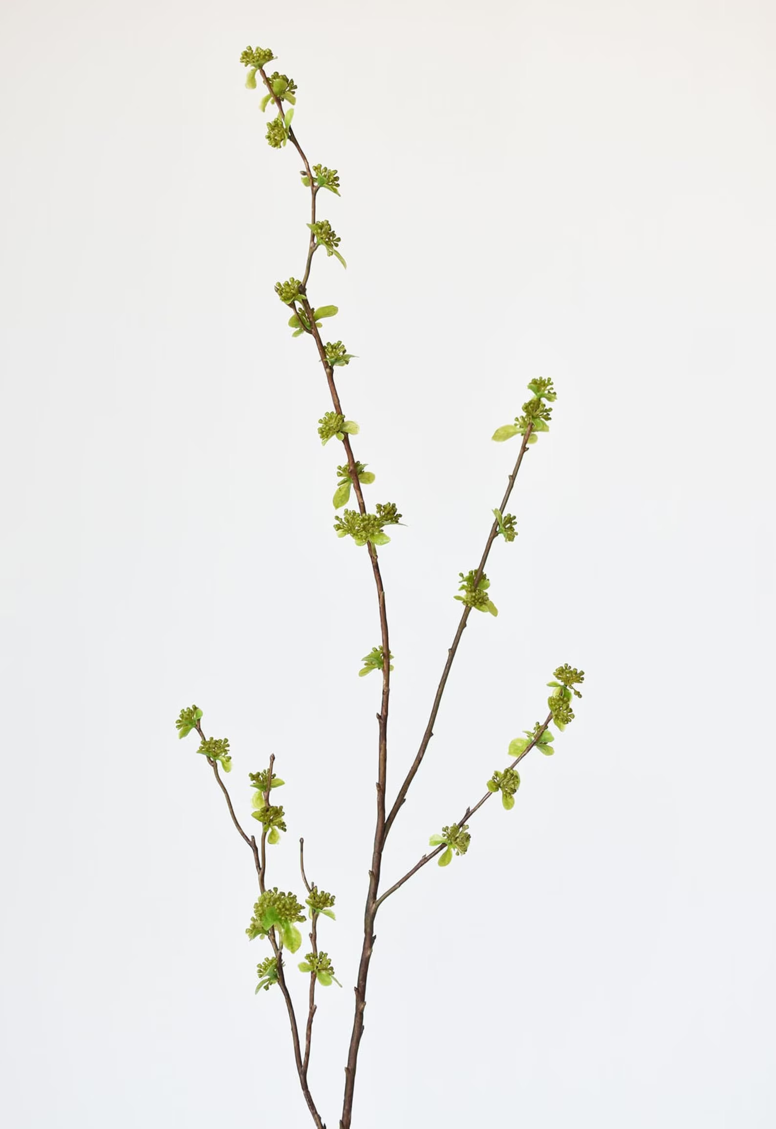 40" Faux Budding Branch Stem - Etsy | Etsy (US)