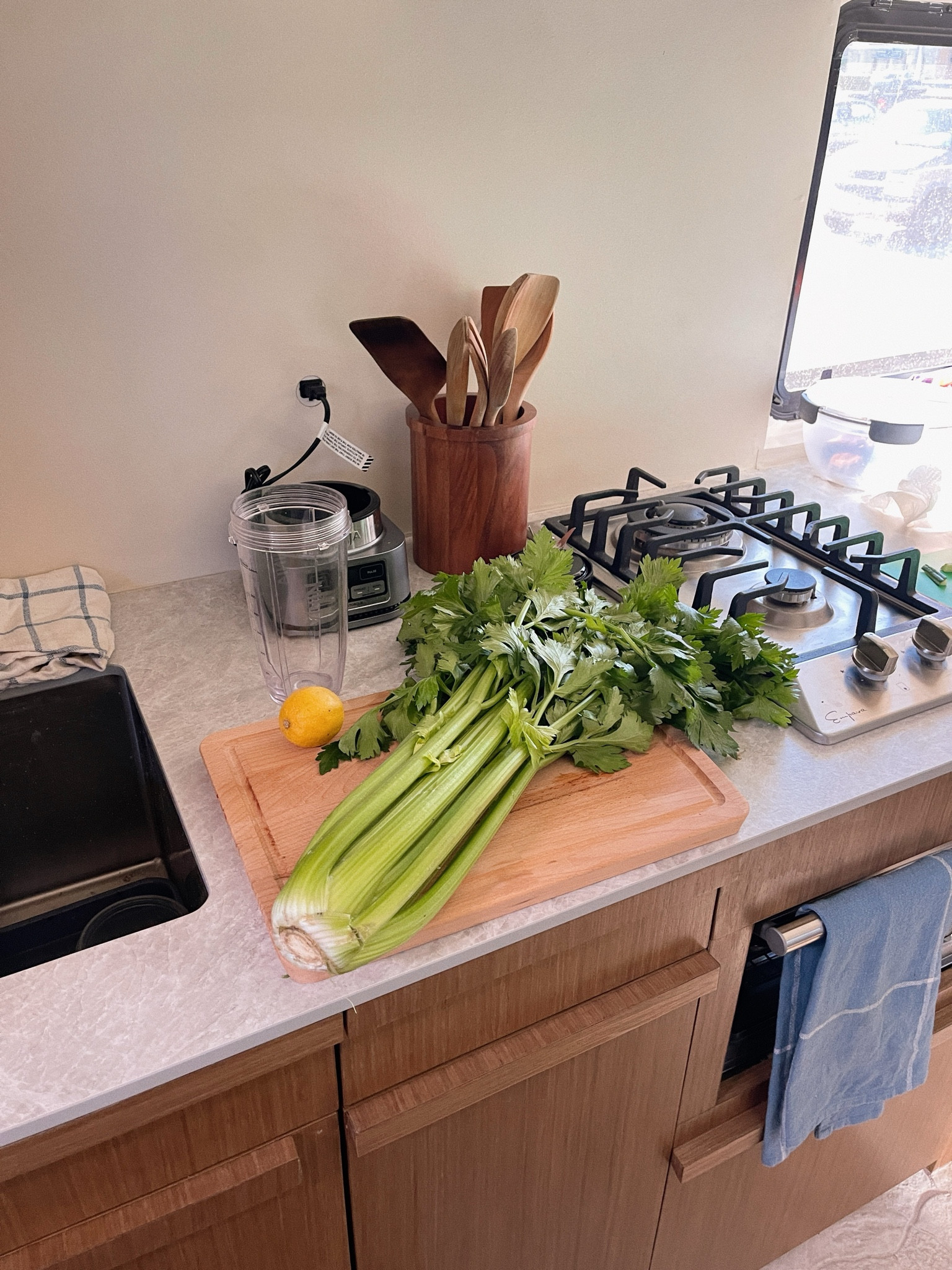 This blender is the best! Use it every day to make cashew cream, sauces, smoothies, celery juice 🙌🏼👏🏼 

#LTKHome