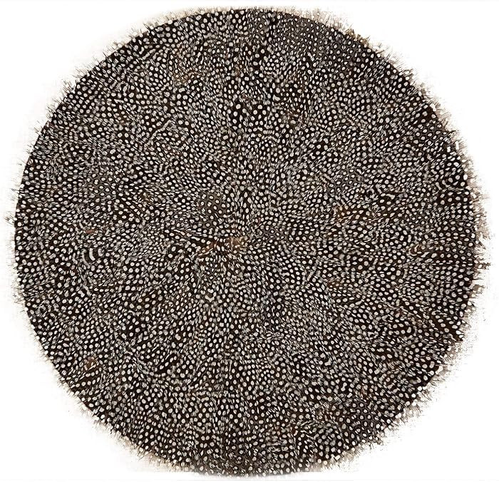 Two's Company 51057 Guinea Fowl Feather Placemats, Set of 6 | Amazon (US)