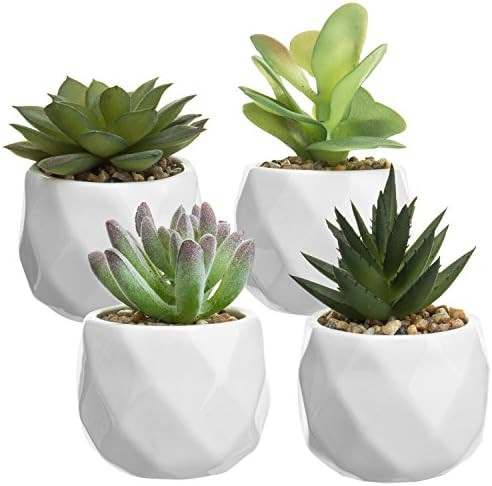 MyGift Mini Faux Assorted Succulent Plants in Faceted Ceramic Planters, Set of 4 | Amazon (US)
