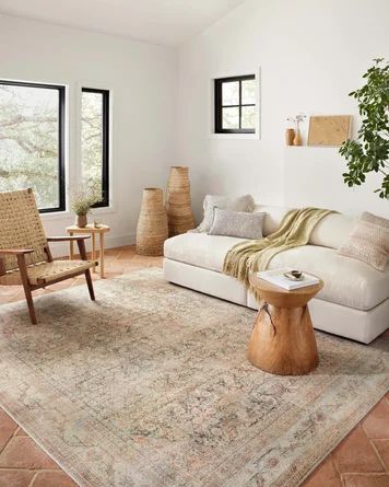Oriental Area Rug in Natural/Apricot | Wayfair North America