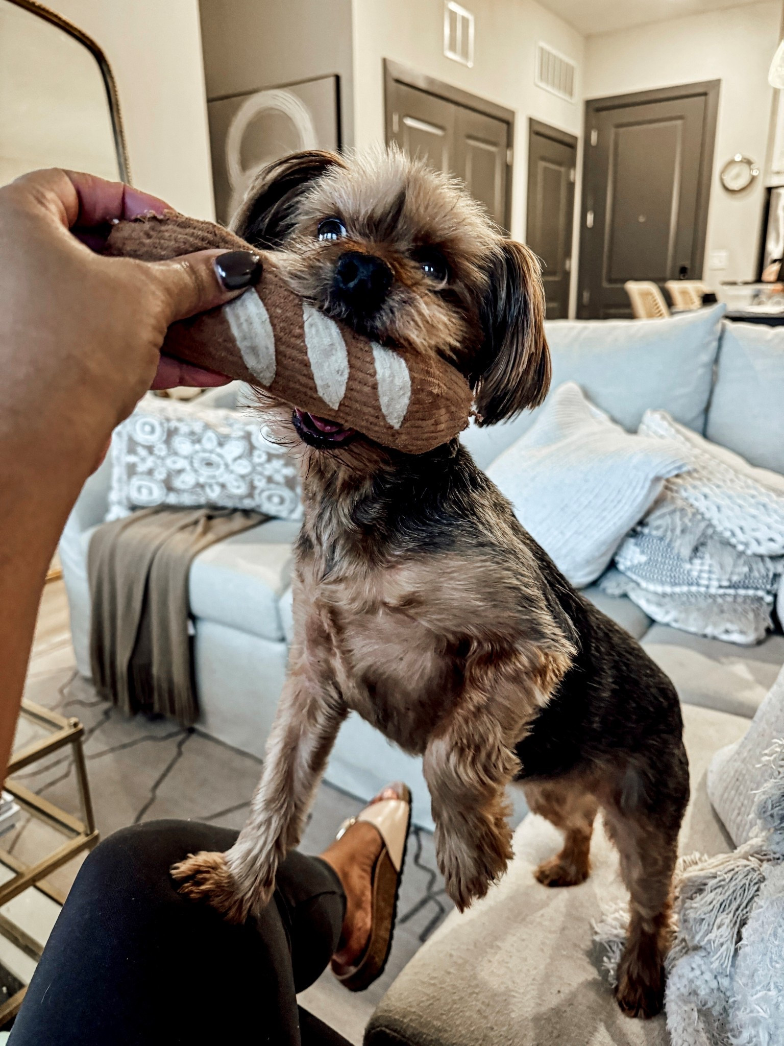 Lambwolf Interactive Snuffle Toy

#LTKUnder50 #LTKPets

#LTKHome #LTKmomlife