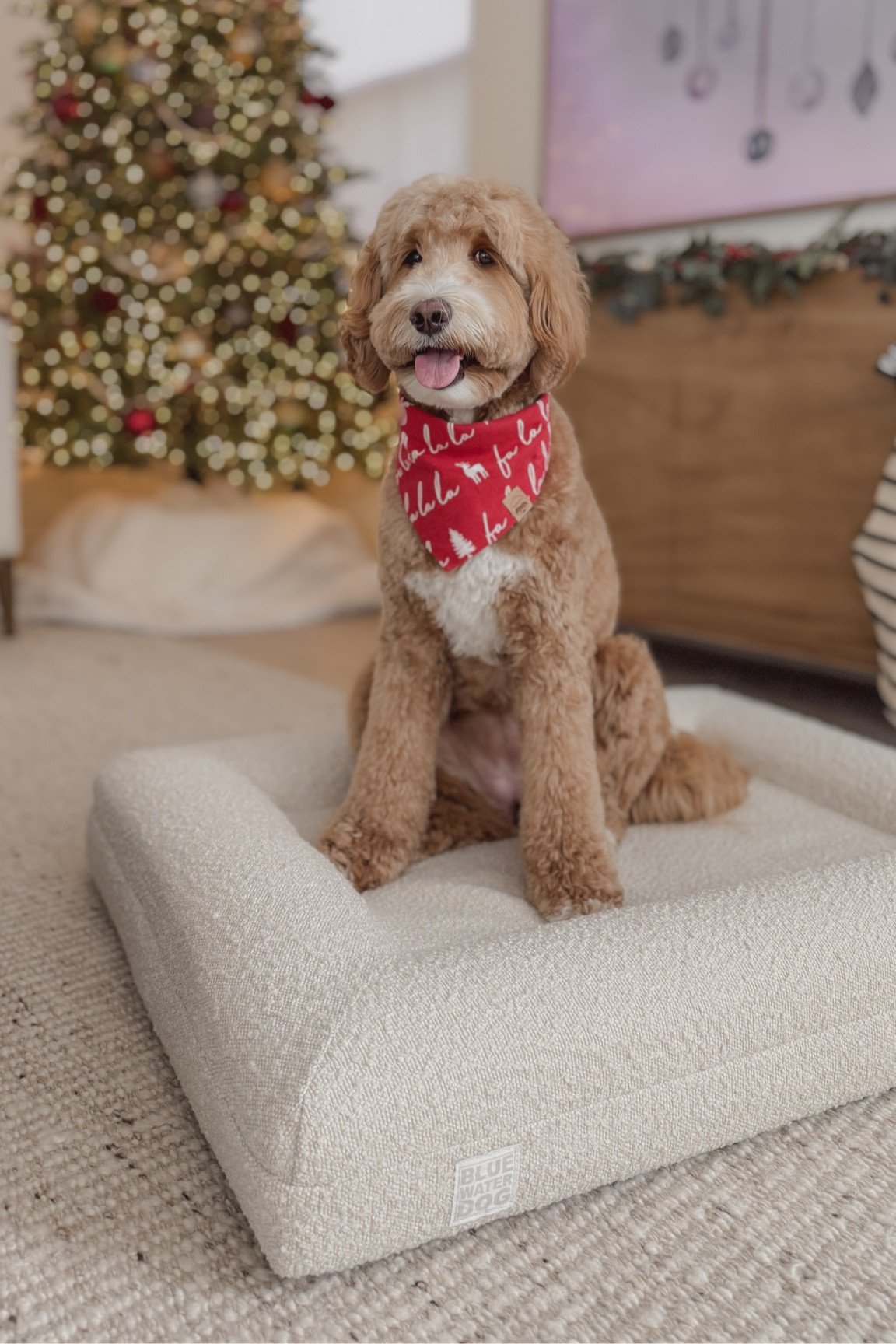 Cozy, comfy, orthopedic dog bed, dog accessories 

#LTKGiftGuide #LTKHoliday