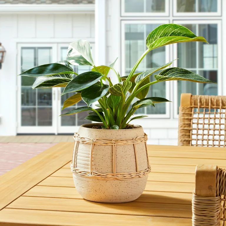 Better Homes & Gardens 6 in Ellie Beige Ceramic Planter by Dave & Jenny Marrs | Walmart (US)