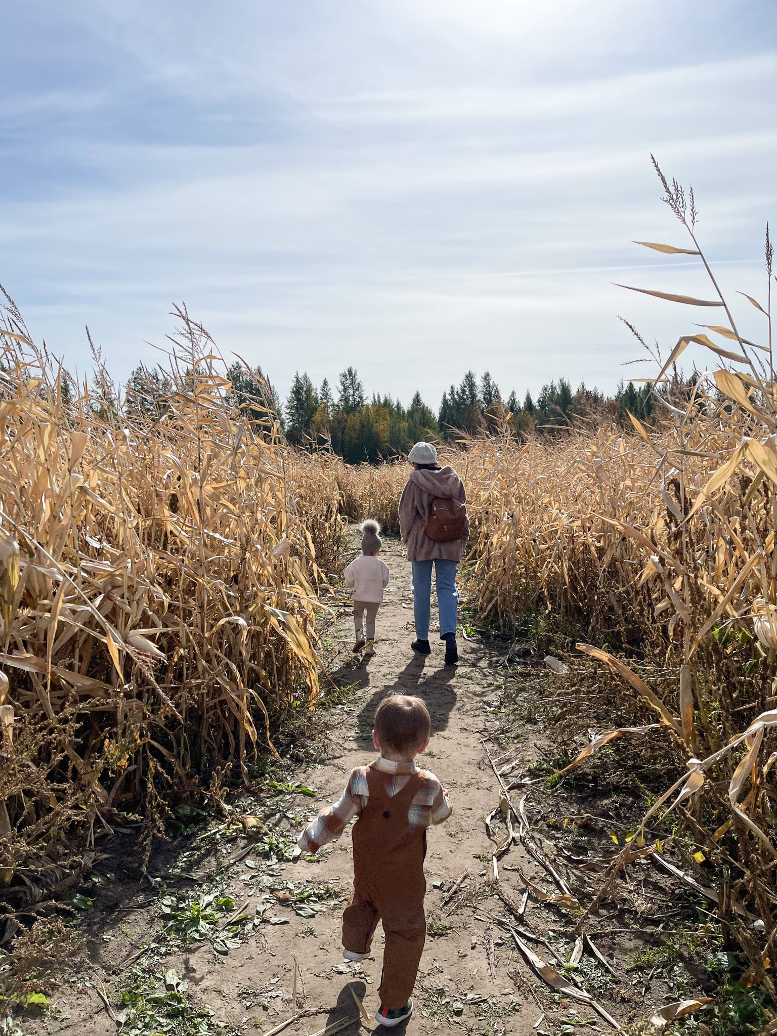Fall Inspo
OOTD
Shacket 
Toddler fashion 
Steve Madden
Amazon finds 
Casual wear 
Abercrombie 
Size 2 

#LTKkids #LTKshoecrush #LTKSeasonal