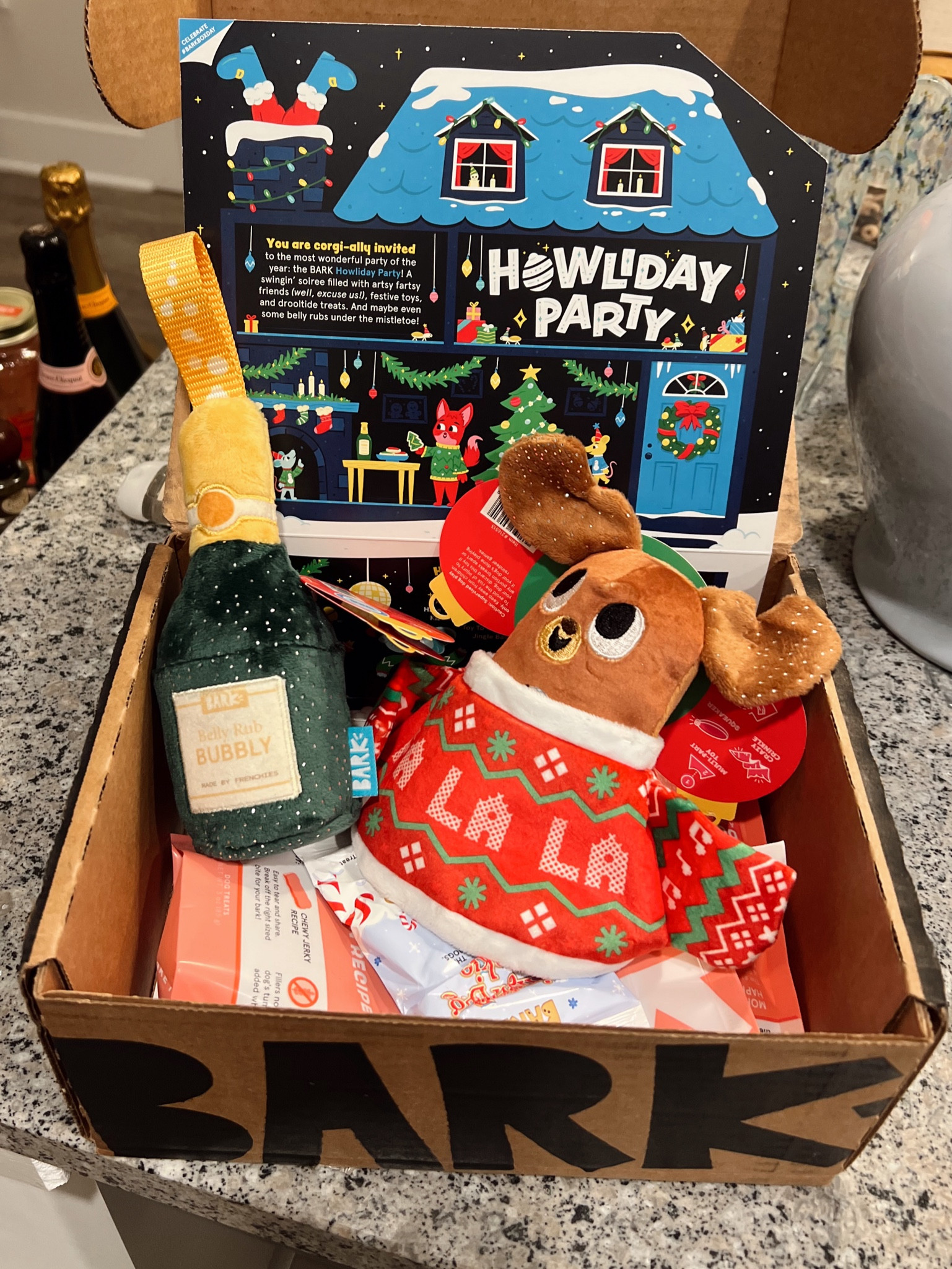 Christmas for my pup!! 🎄💌

#LTKHoliday #LTKGiftGuide #LTKSeasonal