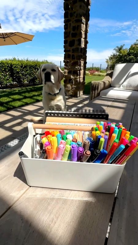 Art caddy! Perfect for crafts and art outside! 