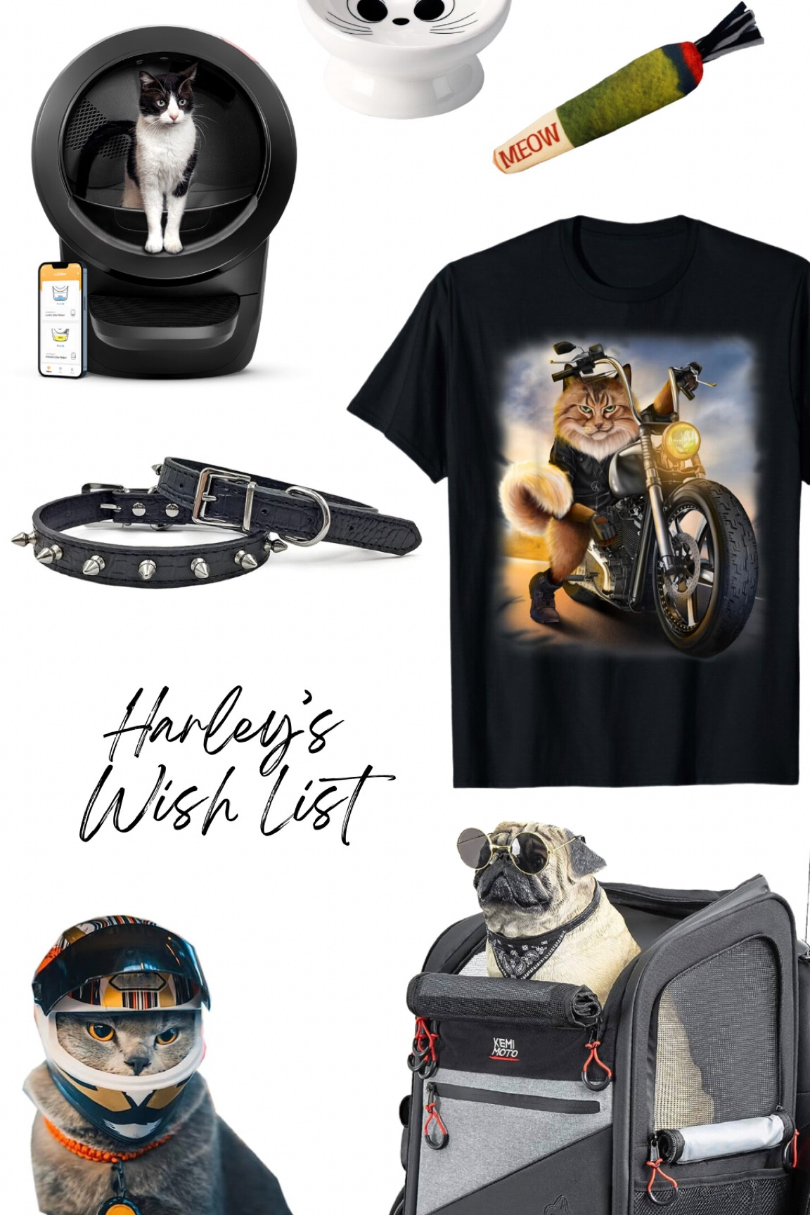 Cat wish list. Harley Davidson. motorcycle mama. Motorcycle cat. 

#LTKstyletip #LTKunder50 #LTKFind