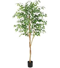 Tall UV Resistant Ficus Tree Artificial\uff0c6ft(72in) Faux Ficus Tree with Realistic Smooth and ... | Amazon (US)