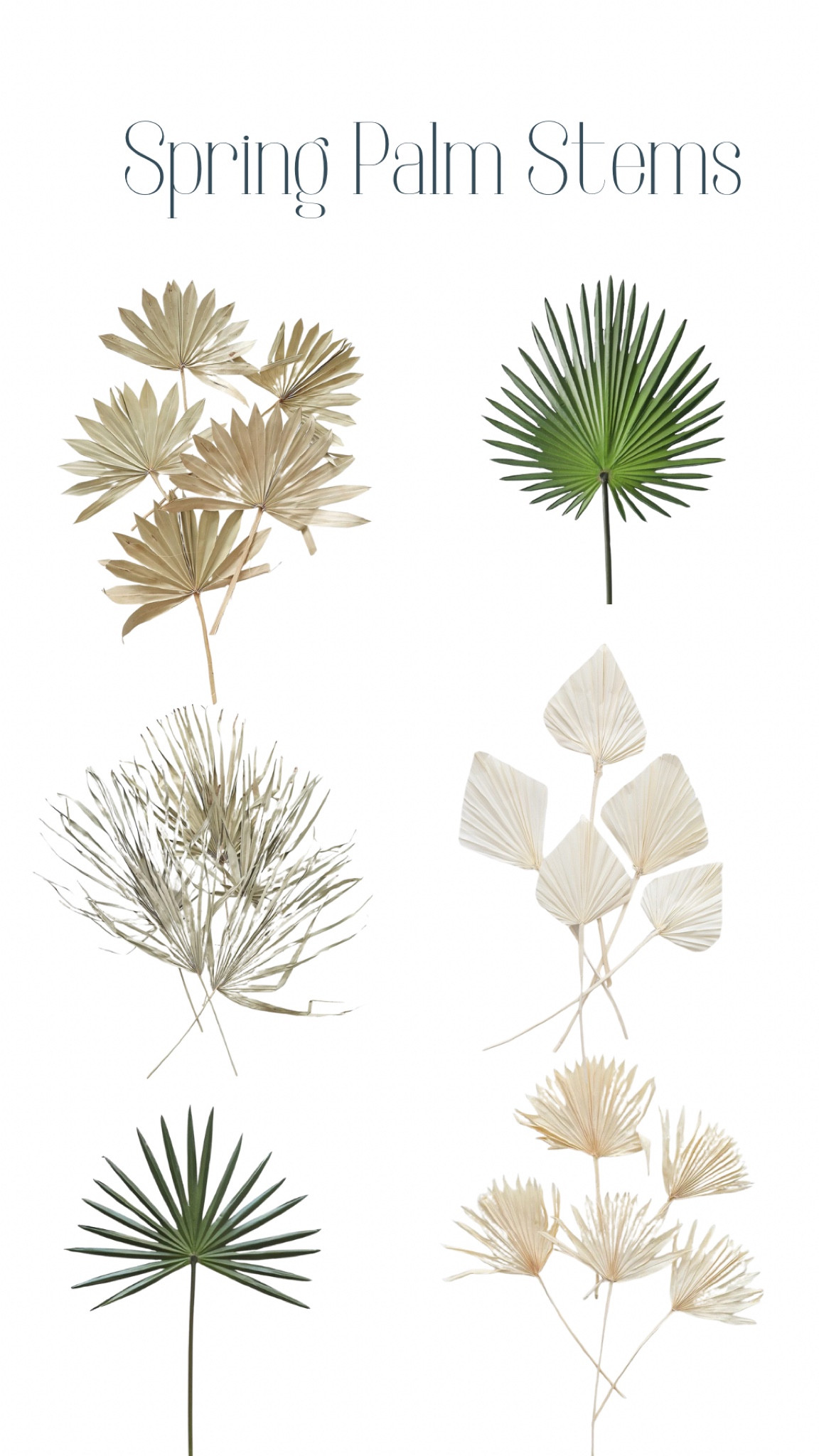 Spring palm stems faux and dried palms 