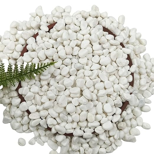 15LB White Gravel for Succulents and Cactus, 0.6 Inch Natural Unpolished Crushed River Rocks for ... | Amazon (US)