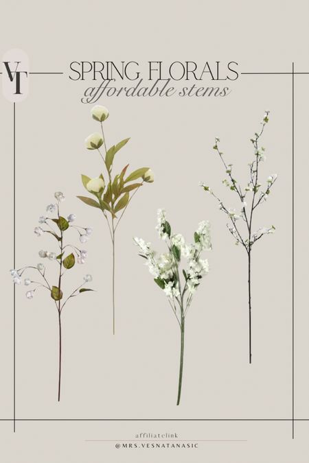 Affordable spring stems to have! These are all so beautiful and perfect to transition your home into spring! 

#springdecor #springstems #springhome #michaels #affordablehome

#LTKhome #LTKSpringSale #LTKSeasonal