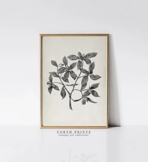 Neutral Botanical Art Print  Vintage Farmhouse Wall Art  | Etsy | Etsy (US)