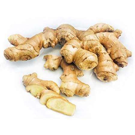 Fresh Ginger Root / Adrak - 1lb | Amazon (US)