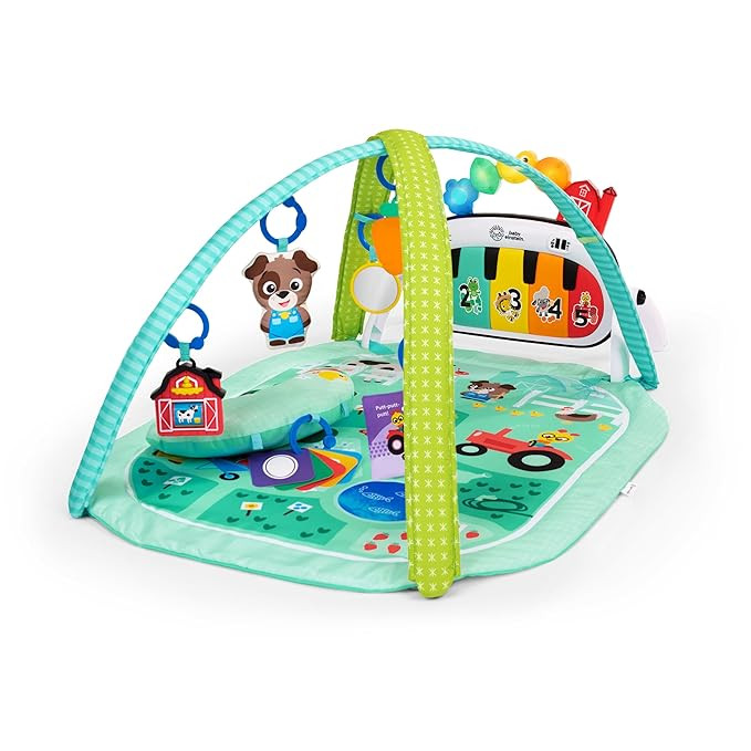 Baby Einstein Farm Explorers 4-in-1 Kickin’ Tunes Musical Meadow Music & Language Discovery Gym... | Amazon (US)