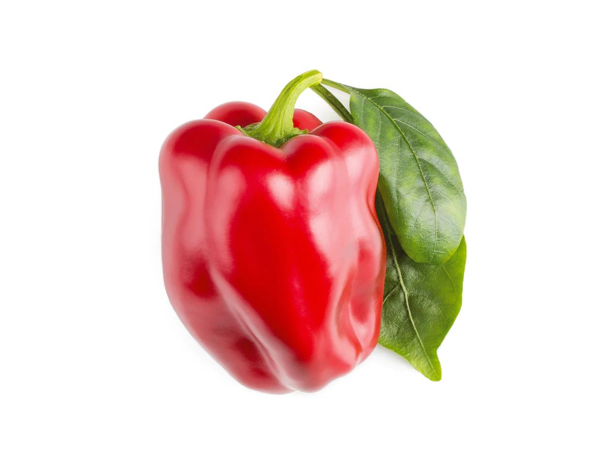 Red Sweet Pepper Plant Pods | Click & Grow