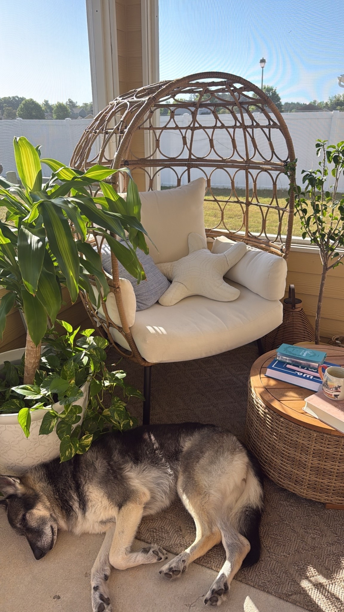 My own little slice of heaven 🥰

#weekendvibes #patiofurniture #sunnyday #relaxation #selfcare

#LTKdayinmylife #LTKSeasonal #LTKselfcare