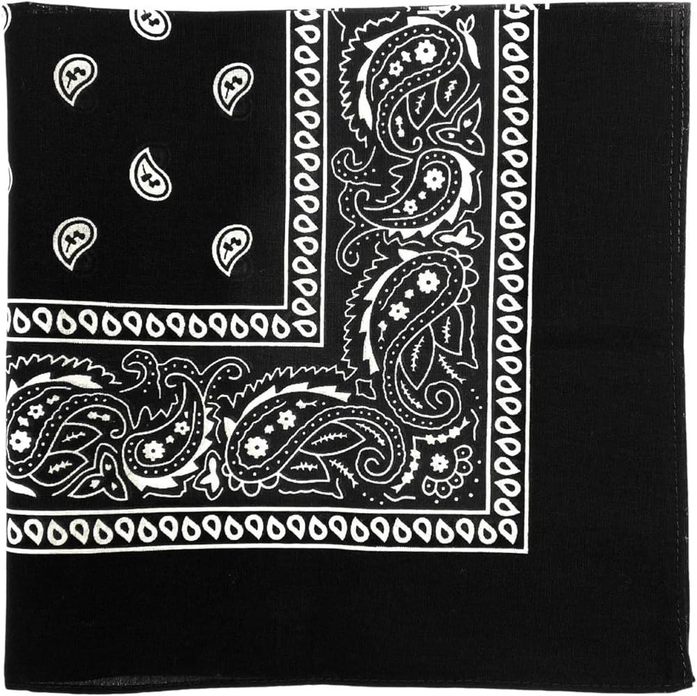 MDSTYLE 100% Cotton Bandana for Men & Women 22" x 22" Paisley Pattern Handkerchief Headband Scarf | Amazon (US)
