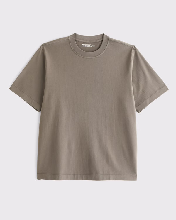 Premium Heavyweight 2.0 Tee | Abercrombie & Fitch (US)