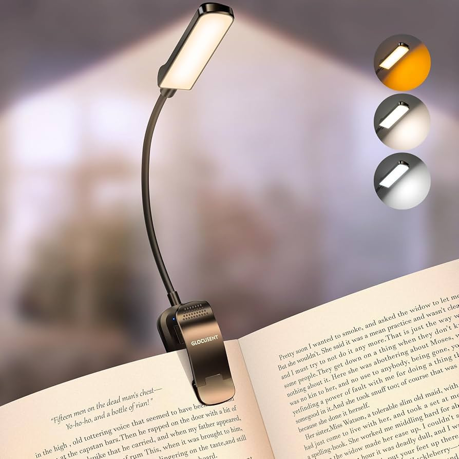 Glocusent 13 LED Book Lights for Reading at Night, Gifts for Book Lovers     Rechargeable Eye-Car... | Amazon (US)