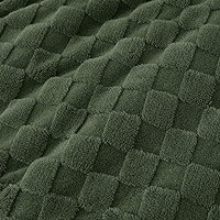 Bedsure Light Taupe Throw Blanket for Couch - Super Soft Cozy Blankets for Women, Cute Small Flee... | Amazon (US)