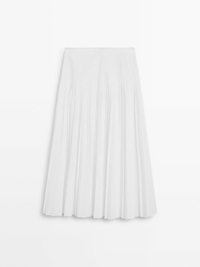 Flared pleated skirt | Massimo Dutti US