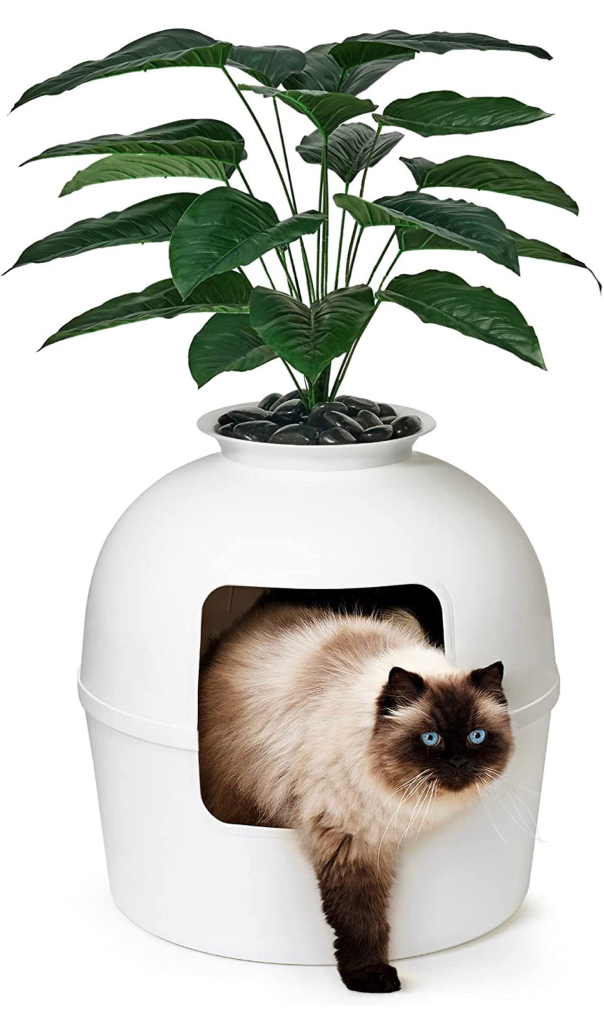 Prime day deals #cats #pets 

#LTKhome #LTKfamily #LTKunder100