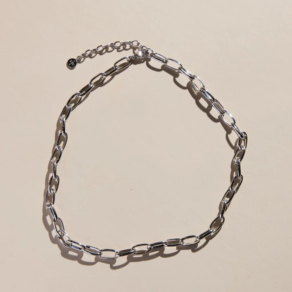 Silver Oval Link Necklace | Nickel and Suede