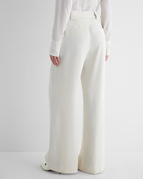 Stylist High Waisted Pleated Wide Leg Pant | Express