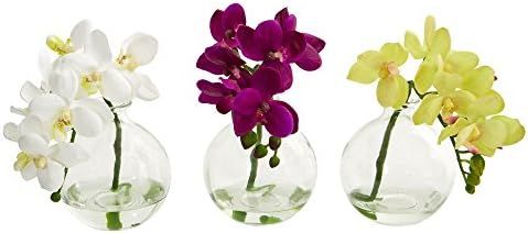 Nearly Natural Artificial (Set of 3) 9” Phalaenopsis Orchid Arrangement in Vase, Multi/Color, 3... | Amazon (US)
