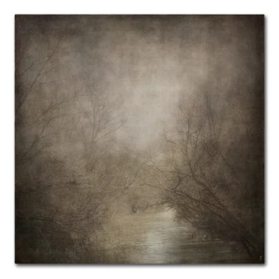 'Hidden Waters' Graphic Art Print on Wrapped Canvas | Wayfair North America