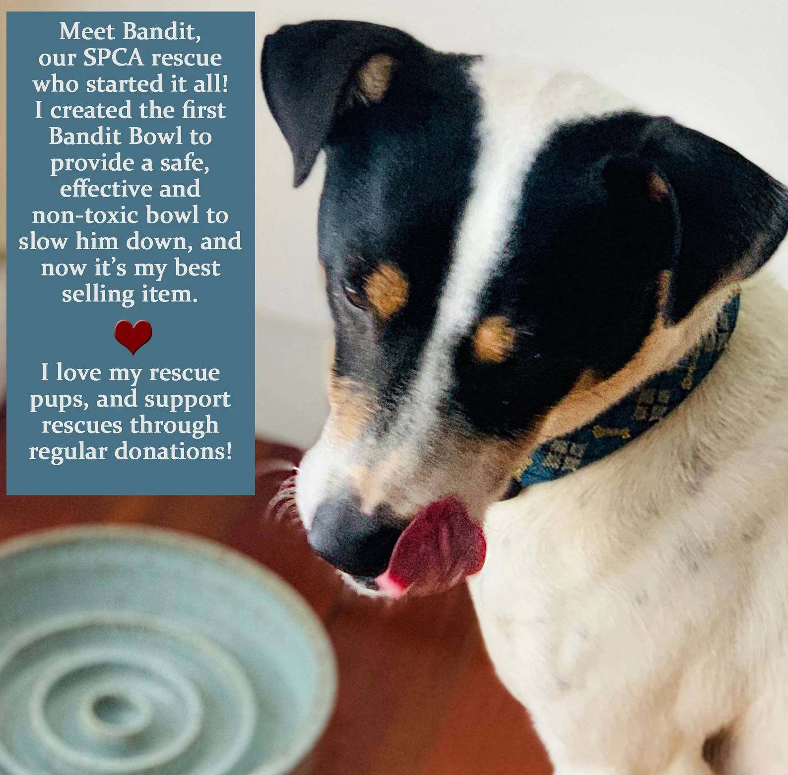 Handmade Ceramic Slow Feeder Bowl: Dog Cat Food Bowl, Banditbowl Original Design - Etsy | Etsy (Global)