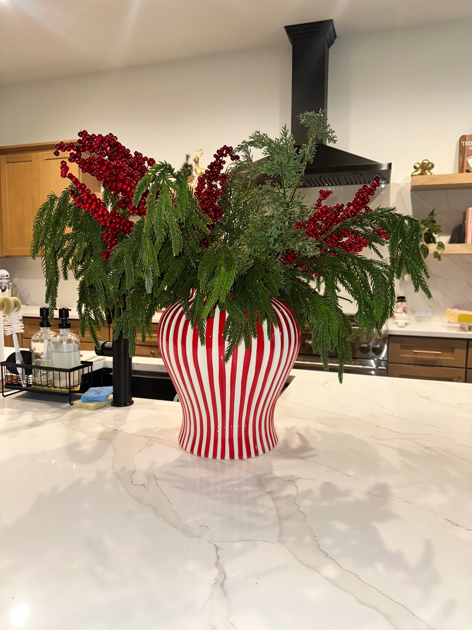 Christmas decor going up! Obsessed with this new vase and faux stems this year 🎄

#LTKSeasonal #LTKHoliday #LTKFindsUnder50