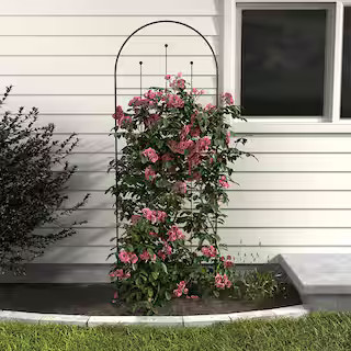 80 in. H Wisteria Black Metal Trellis | The Home Depot