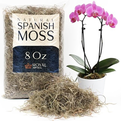 Royal Imports Preserved Natural Spanish Moss, Fresh Dried Shredded Loose Chunks, 8 Oz Bag | Amazon (US)