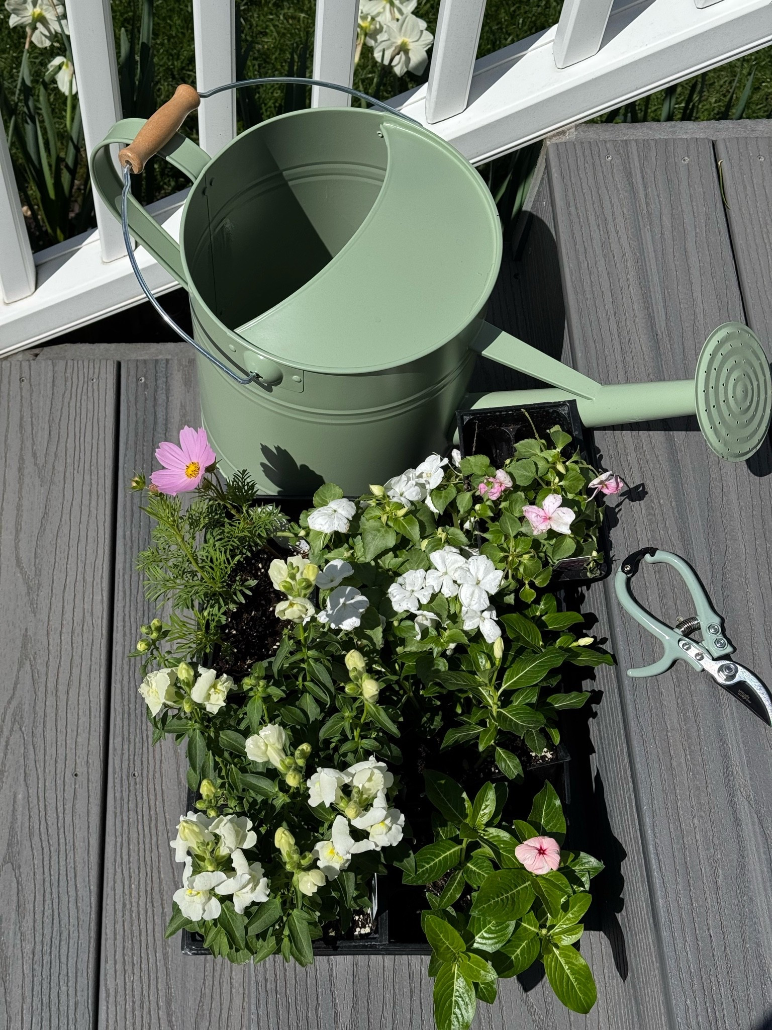 Garden season is here! Check out my must haves for planting 

#amazon #gardening #momlife #outdoor

#LTKmomlife #LTKSeasonal #LTKMothersDay